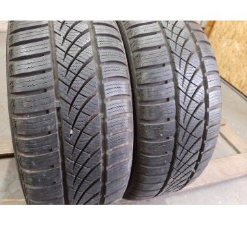 Platin RP 100 Allseason 195/55R 15