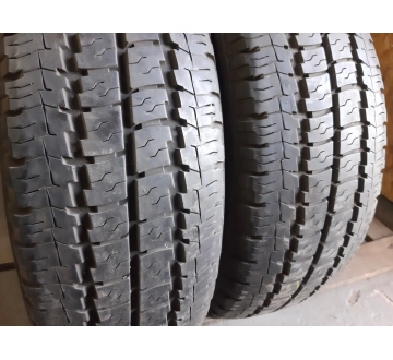 Lightruck Taurus 101 225/65R 16C