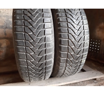 Firestone Winter Hawk     ../ 195/65R 15