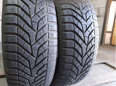 Yokohama Blue Earth Winter V 905 . 205/60R 16