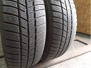 Barum Polaris 5  .. 195/65R 15