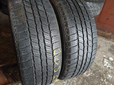 Minerva Ice-Pus S 110 205/65R 15