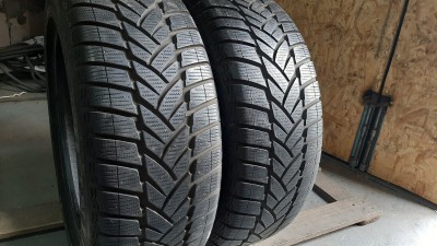 Dunlop SP Winter Sport M3./. 215/55R 17