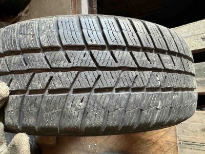 Barum Polaris 5./. 195/60R 15