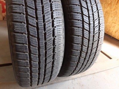 Zeetex Ice-Pus S 100/.. 205/65R 15