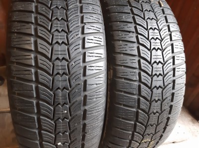Sava Eskimo HP2 …/. 205/65R 15
