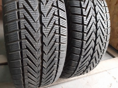 Vredestein Winter Xtreme ../ 205/50R 16