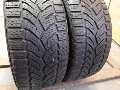 General Altimax Winter Plus 225/45R 17