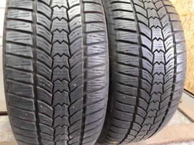 Sava Eskimo HP2 225/50R 17