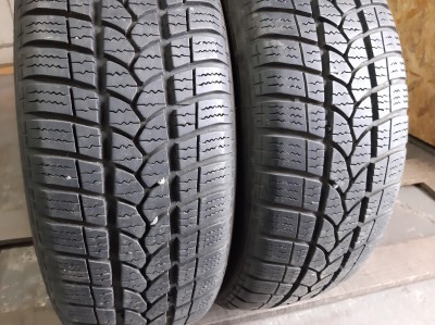 Tigar Winter 1 195/60R 15