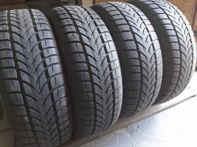 Platin RP 50 Winter   .. . 195/65R 15