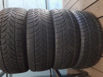 Platin RP 60 Winter .. 225/55R 17