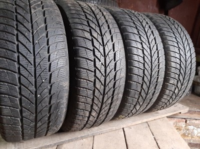 Gislaved Eurofrost 5  .. . 225/50R 17