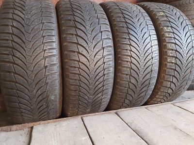Nexen Winguard Snow GWH2 205/55R 16