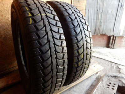 Nankang Snow Winter SW-5 195/70R 15C